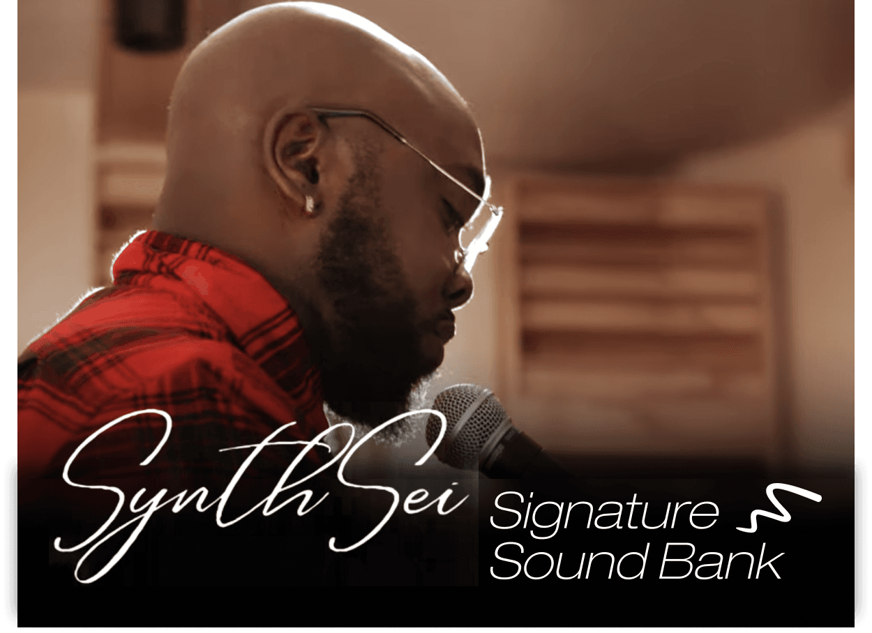 SynthSei Sound Banks NW2